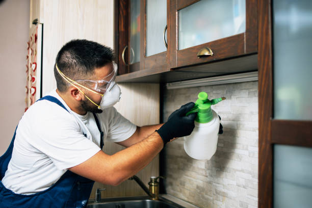 Best Best Pest Control Companies  in Brewerton, NY
