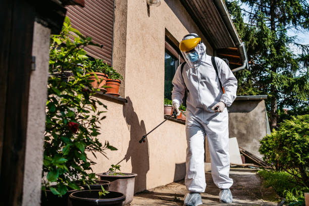 Best Wasp Removal Services  in Brewerton, NY