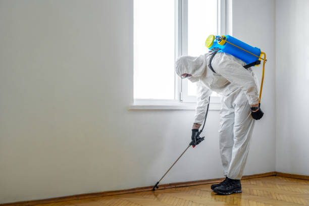 Best Pest Prevention Services  in Brewerton, NY