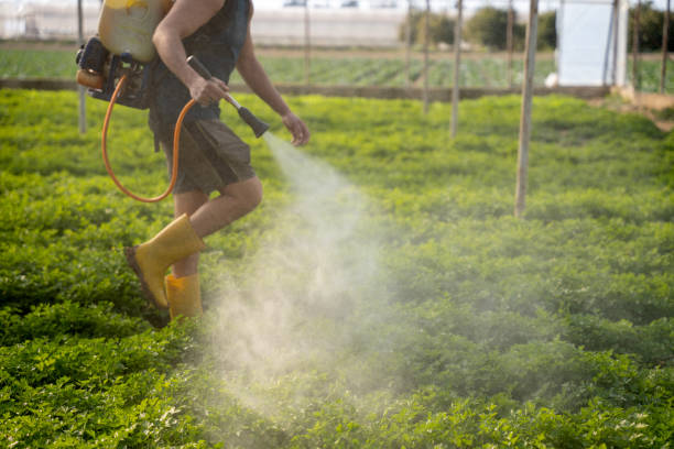 Best Pest Inspection Near Me  in Brewerton, NY