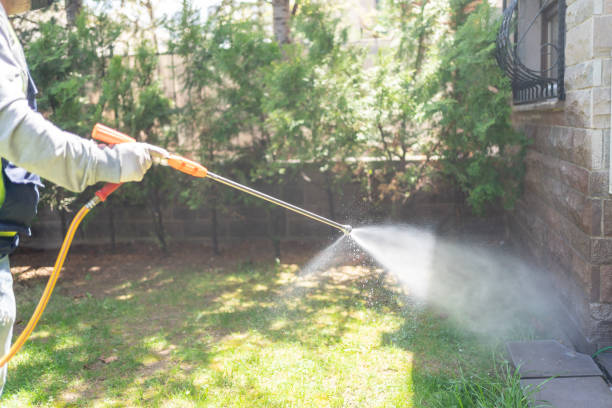 Best Pest Removal Services  in Brewerton, NY
