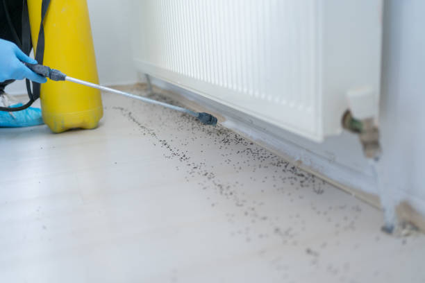 Best Residential Pest Control  in Brewerton, NY