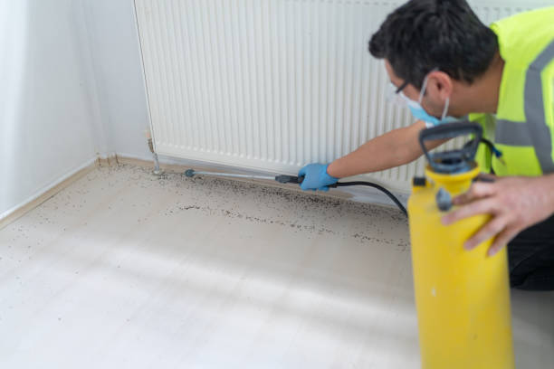 Best Best Pest Control Companies  in Brewerton, NY
