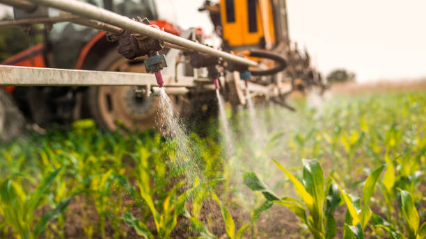 Reliable Brewerton, NY Pest Control Solutions
