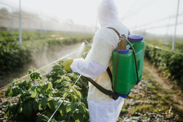 Best Flea Control Services  in Brewerton, NY